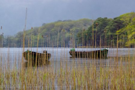 ireland-Boote